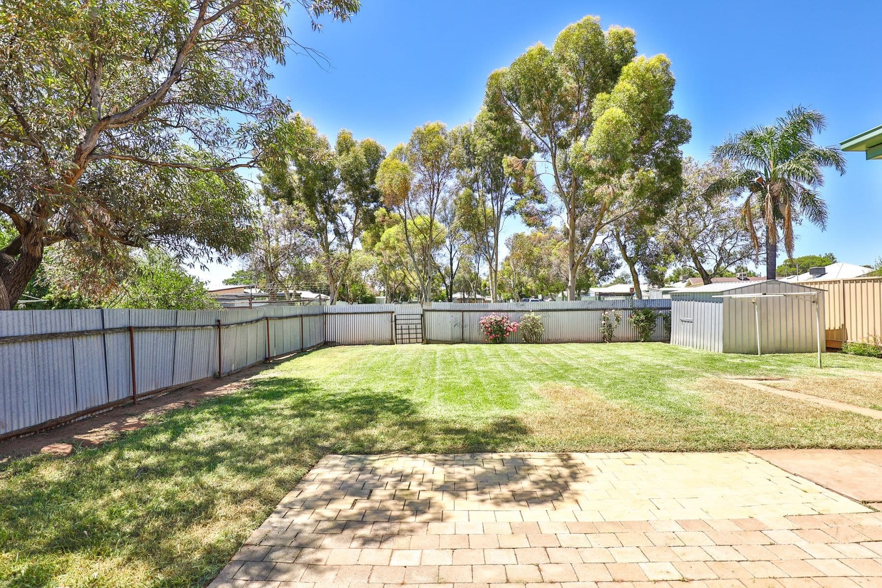 8 Barry Avenue, Mildura VIC 3500, Mildura - Thumbnail 3