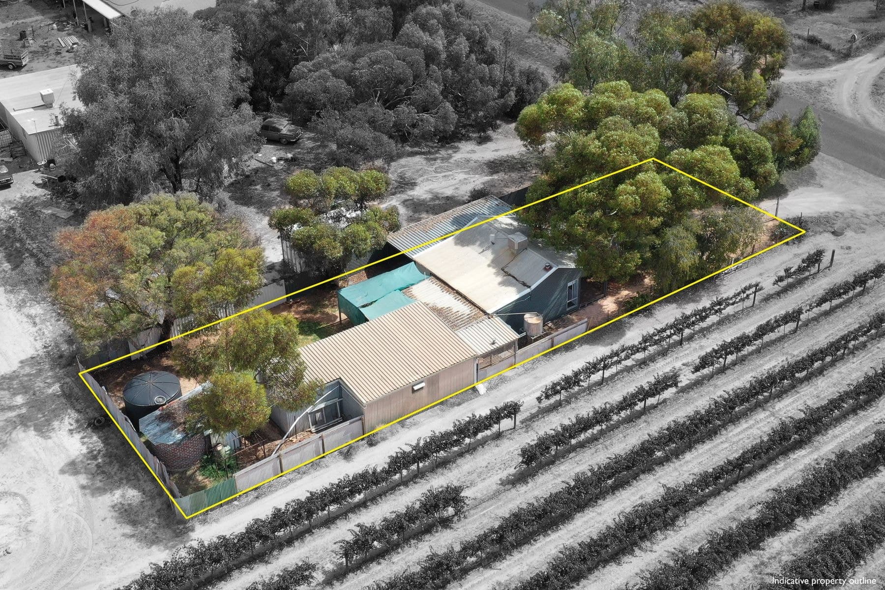 35 Euston Avenue, Irymple VIC 3498, Irymple - Thumbnail 2