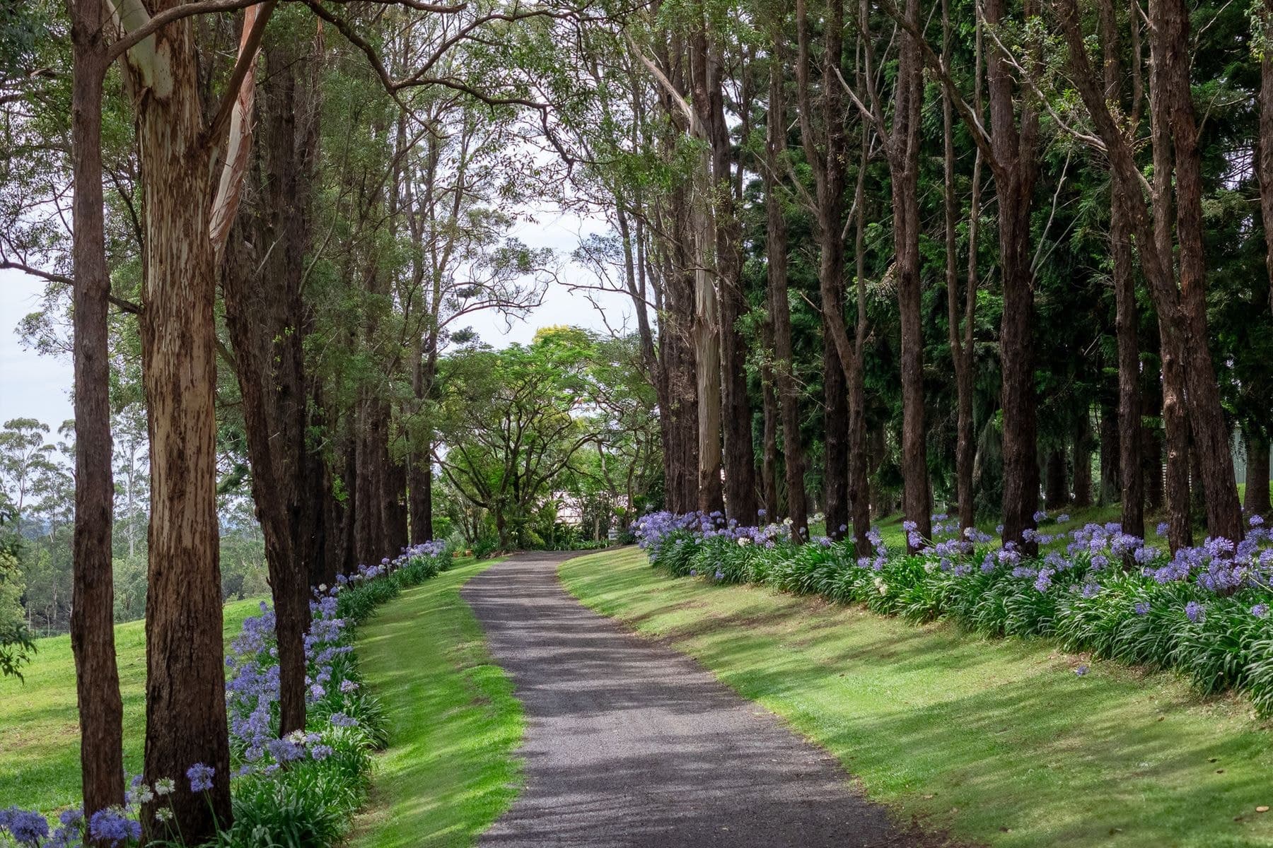231 Sneaths Road, Wollongbar NSW 2477, Wollongbar - Image 1