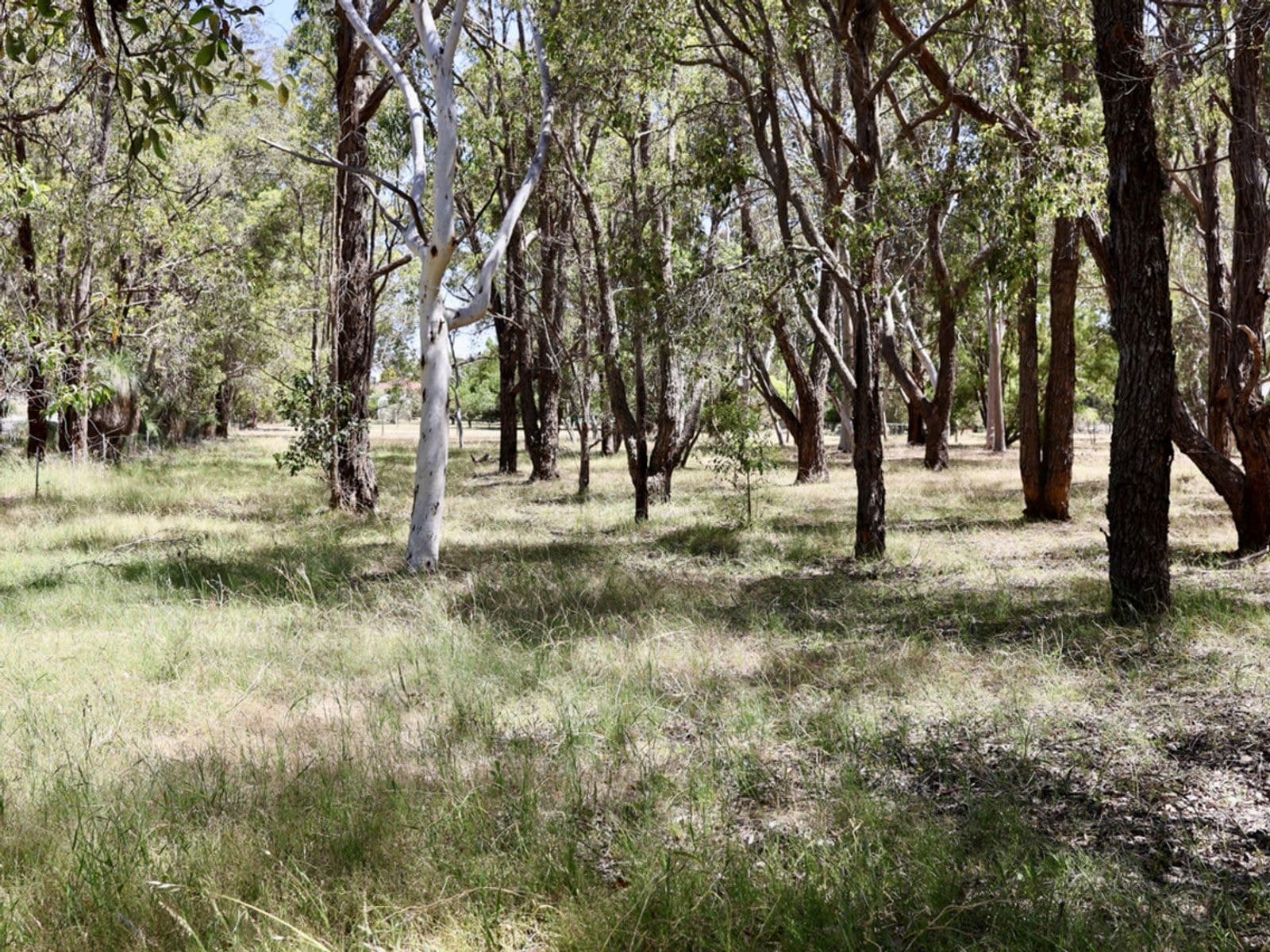 Lot PL 306/1530 Lion Street, Mount Helena WA 6082, Mount Helena - Thumbnail 6