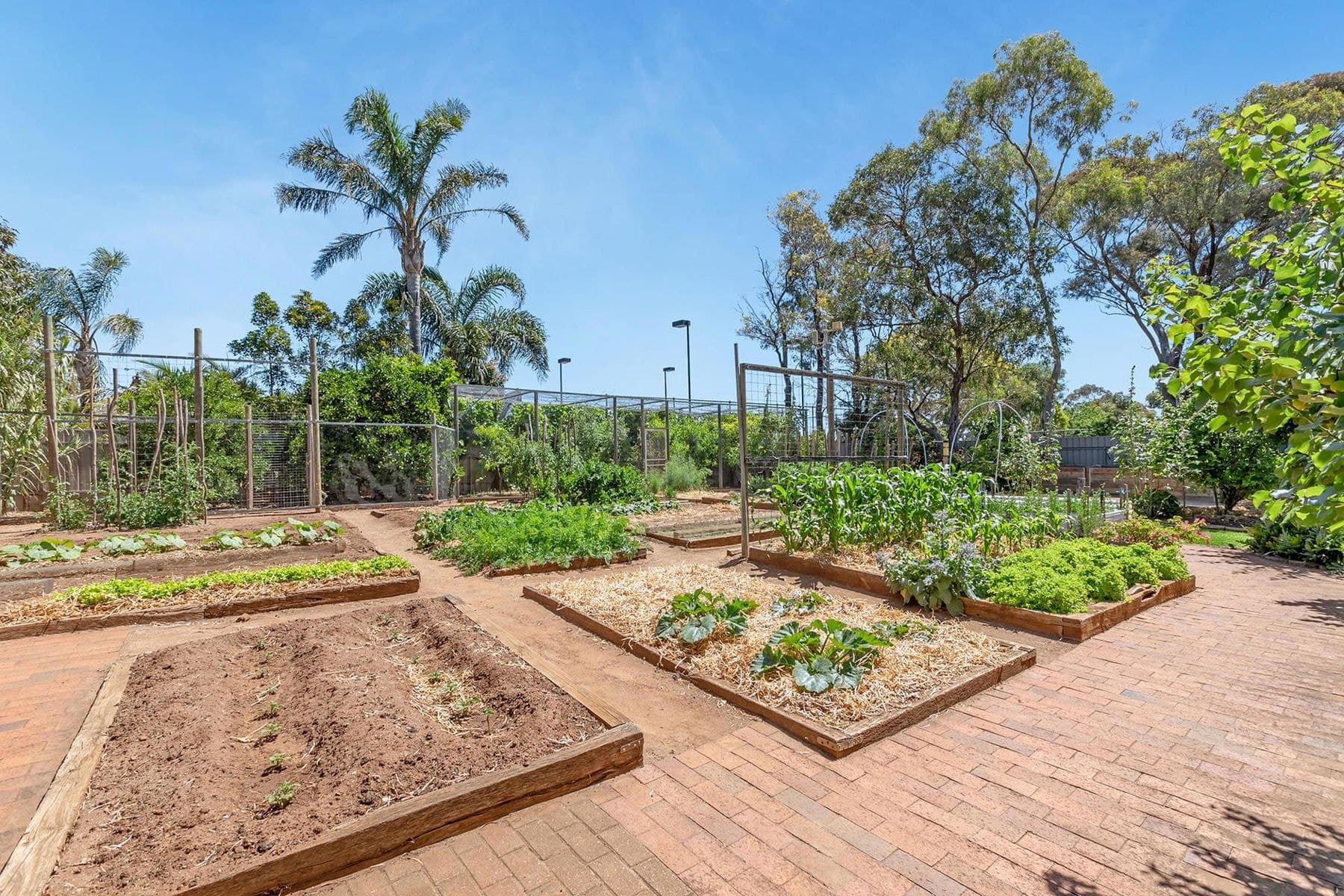 147 Target Hill Road, Greenwith SA 5125, Greenwith - Thumbnail 3
