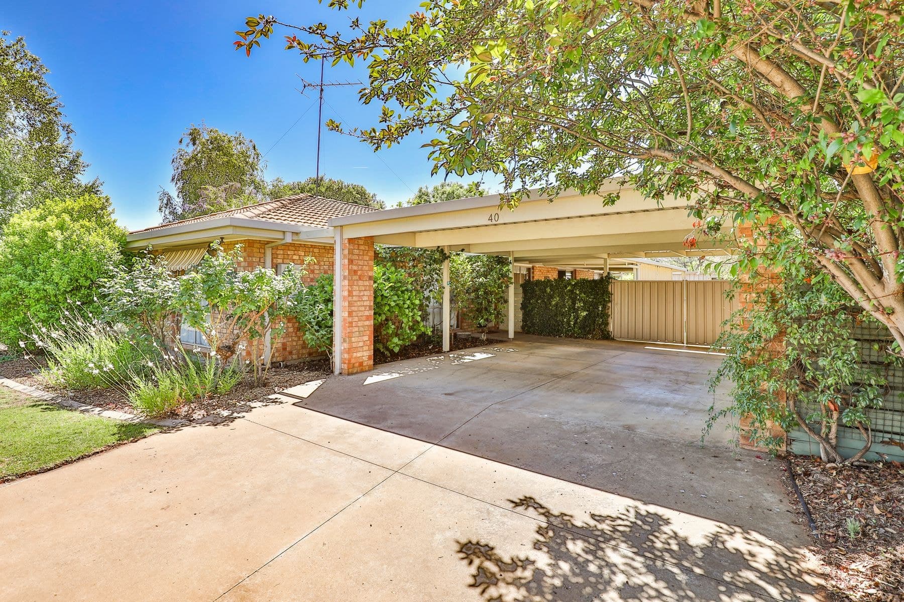 40 Mansell Drive, Mildura VIC 3500, Mildura - Thumbnail 2