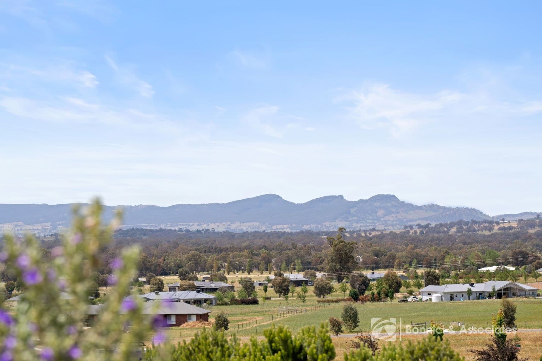 24 Protea Court, Jindera NSW 2642, Jindera - Thumbnail 2