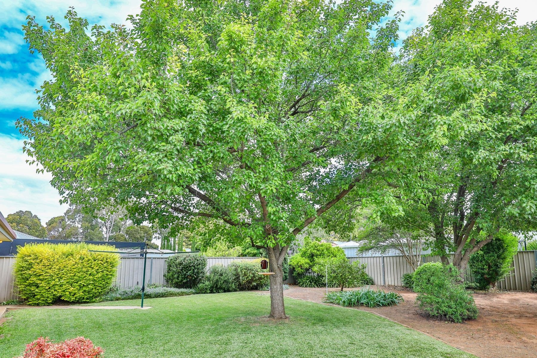 20 Pevensey Grove, Mildura VIC 3500, Mildura - Thumbnail 4