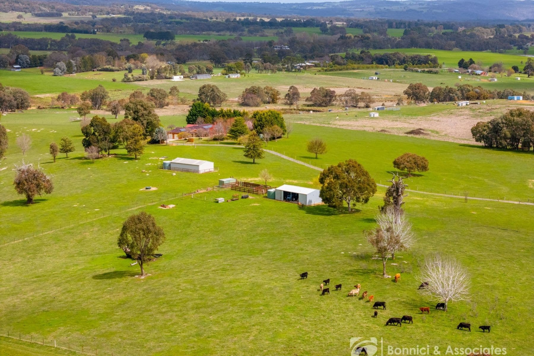 228 Edmondson Lane, Wooragee VIC 3747, Wooragee - Image 1