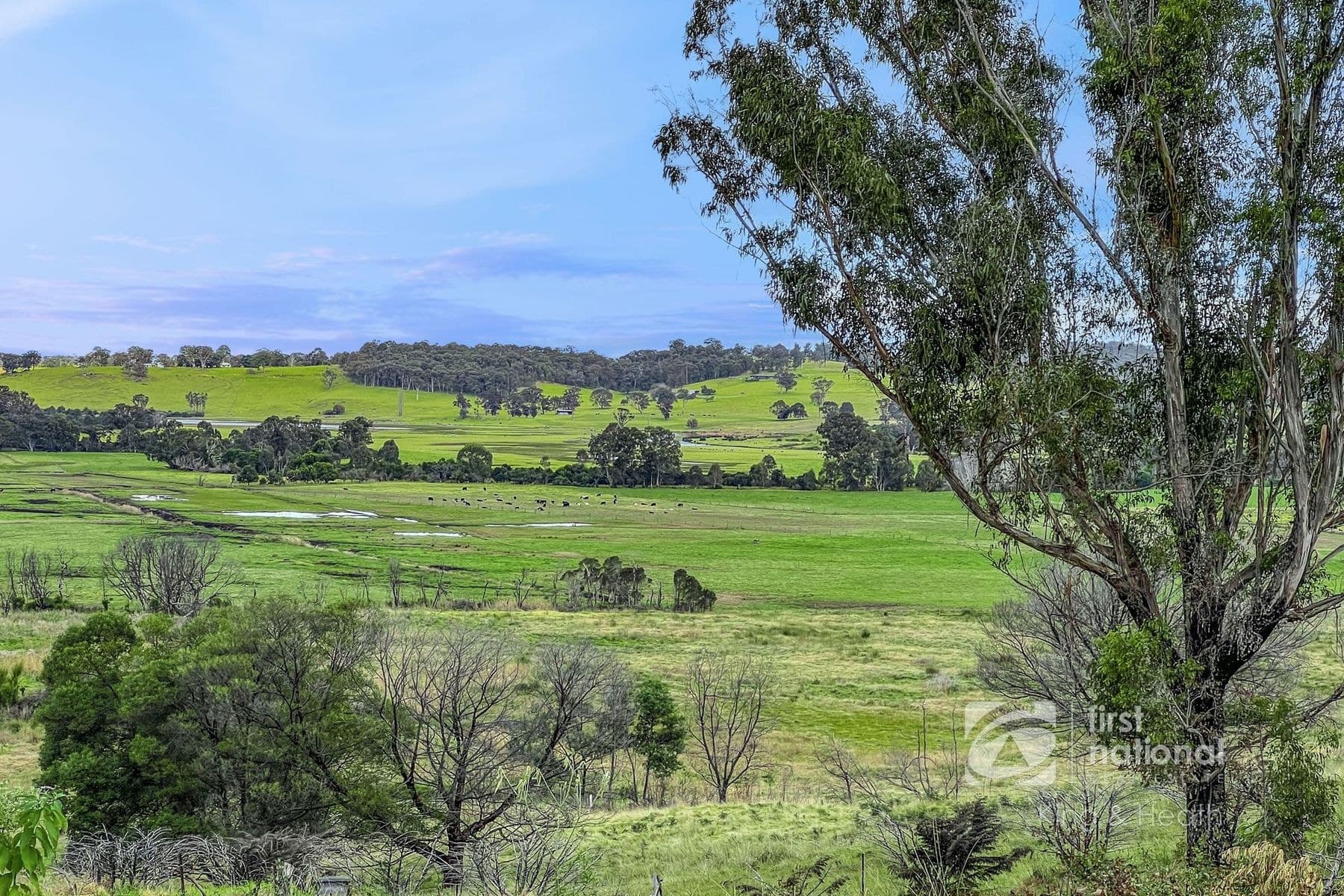 28 Cousins Court, Sarsfield VIC 3875, Sarsfield - Thumbnail 3