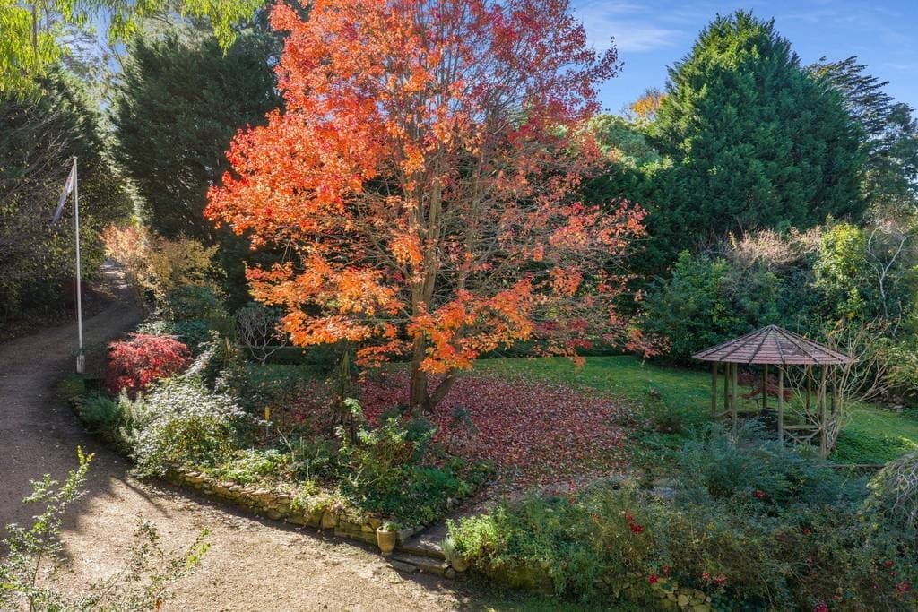 48 Penrose Road, Bundanoon - Thumbnail 4