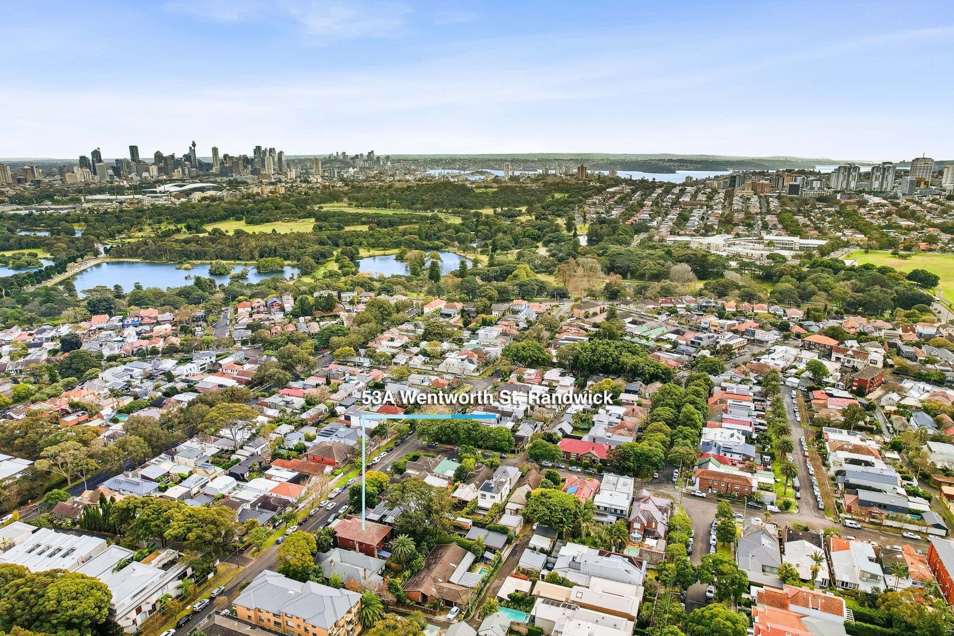53B Wentworth Street, Randwick - Thumbnail 6