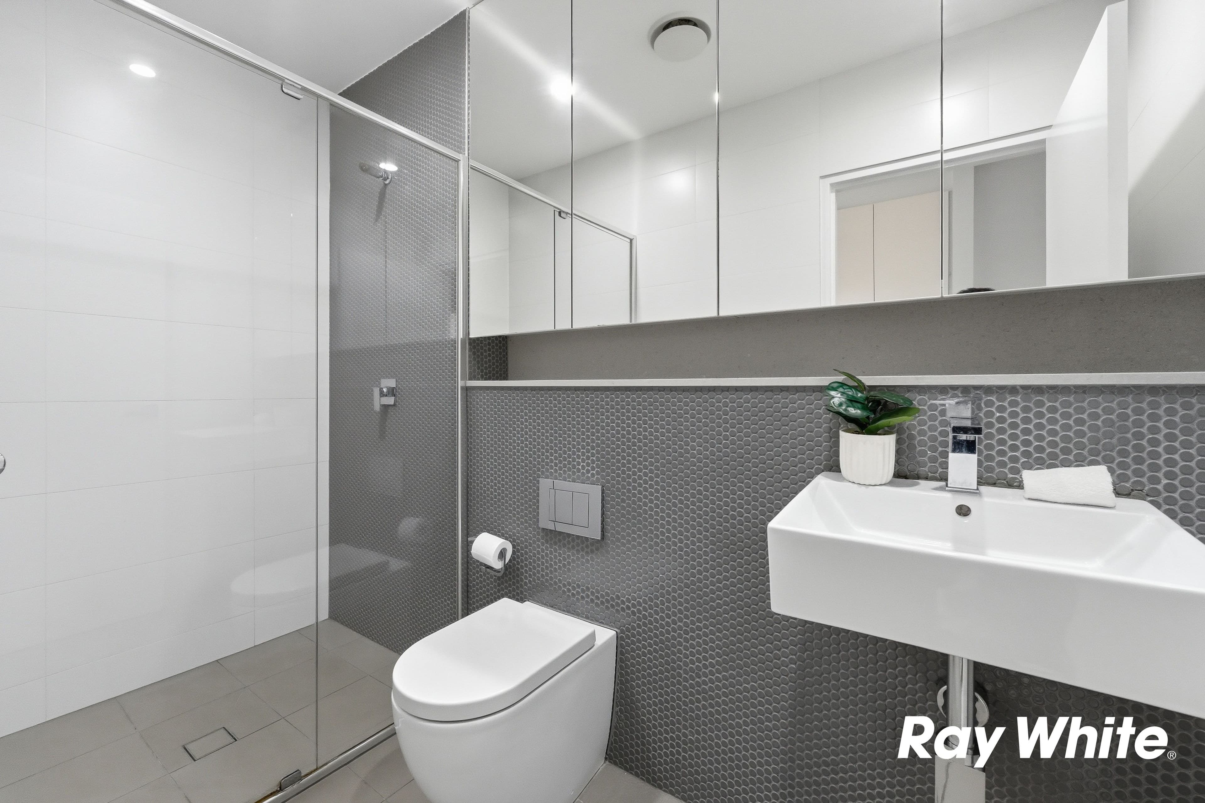 201 & 301/250 Wardell Road, Marrickville NSW 2204, Marrickville - Thumbnail 8