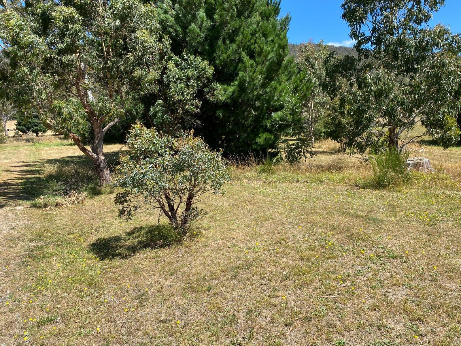 Lot 3/39 Union Bridge Road, Mole Creek TAS 7304, Mole Creek - Image 1