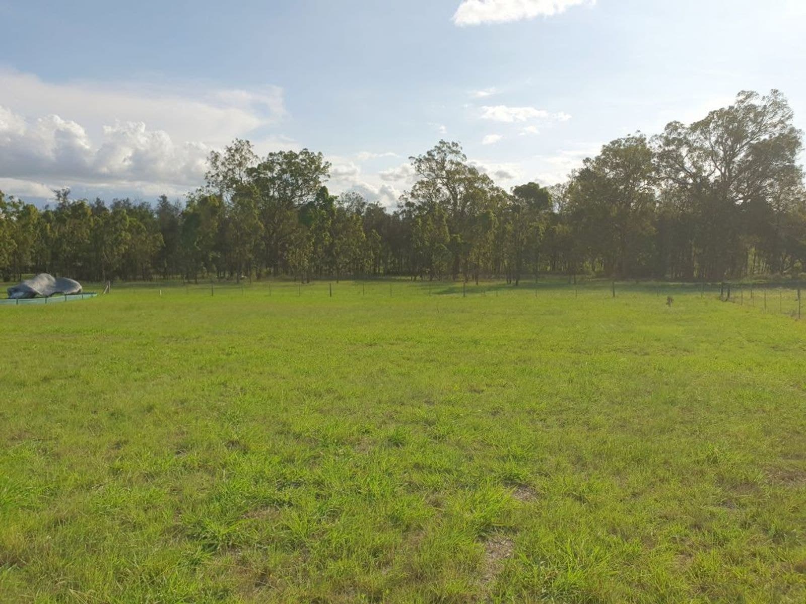 65 Stockyard Parade, Muswellbrook NSW 2333, Muswellbrook - Thumbnail 4