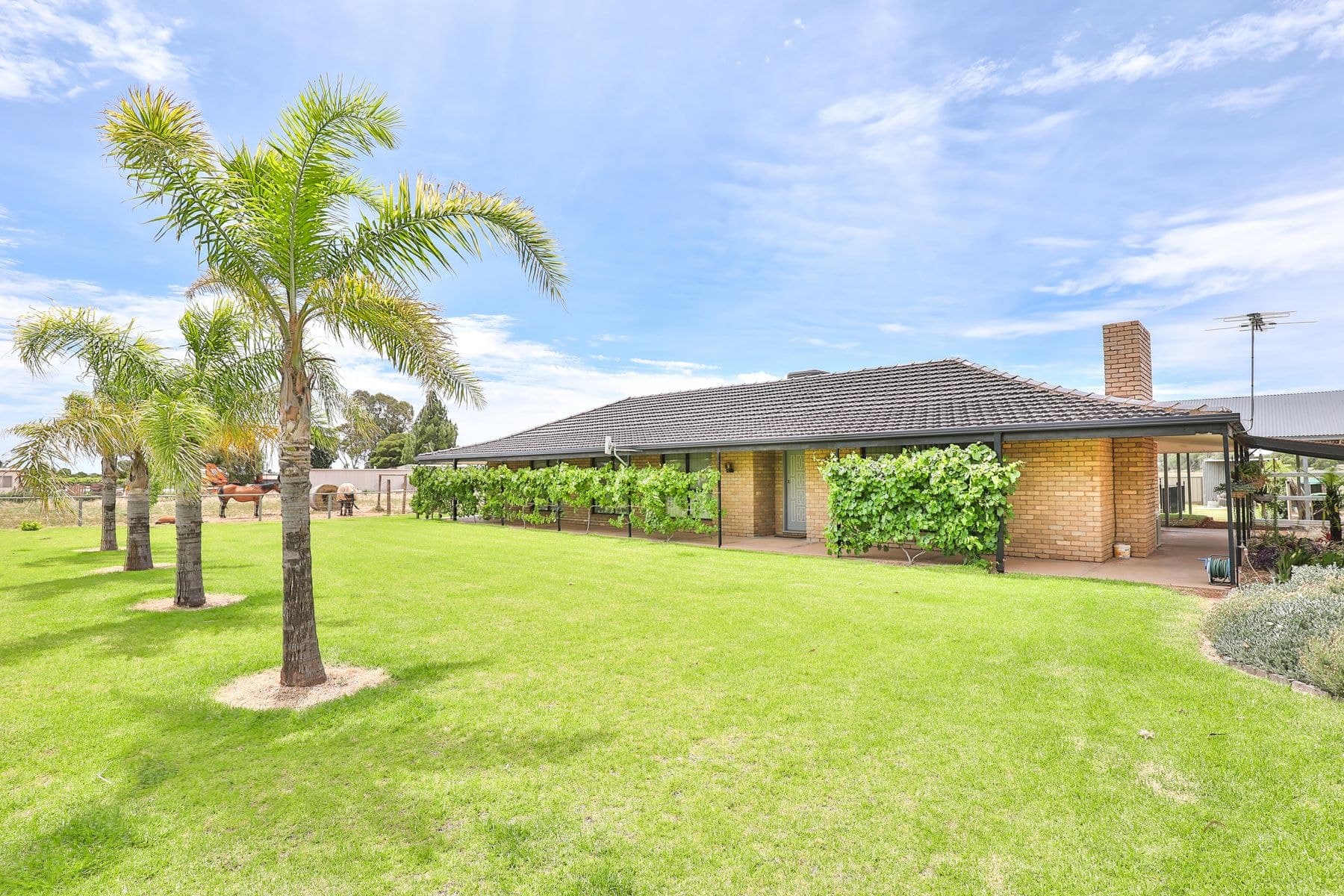 3330 Deakin Avenue, Mildura VIC 3500, Mildura - Image 1