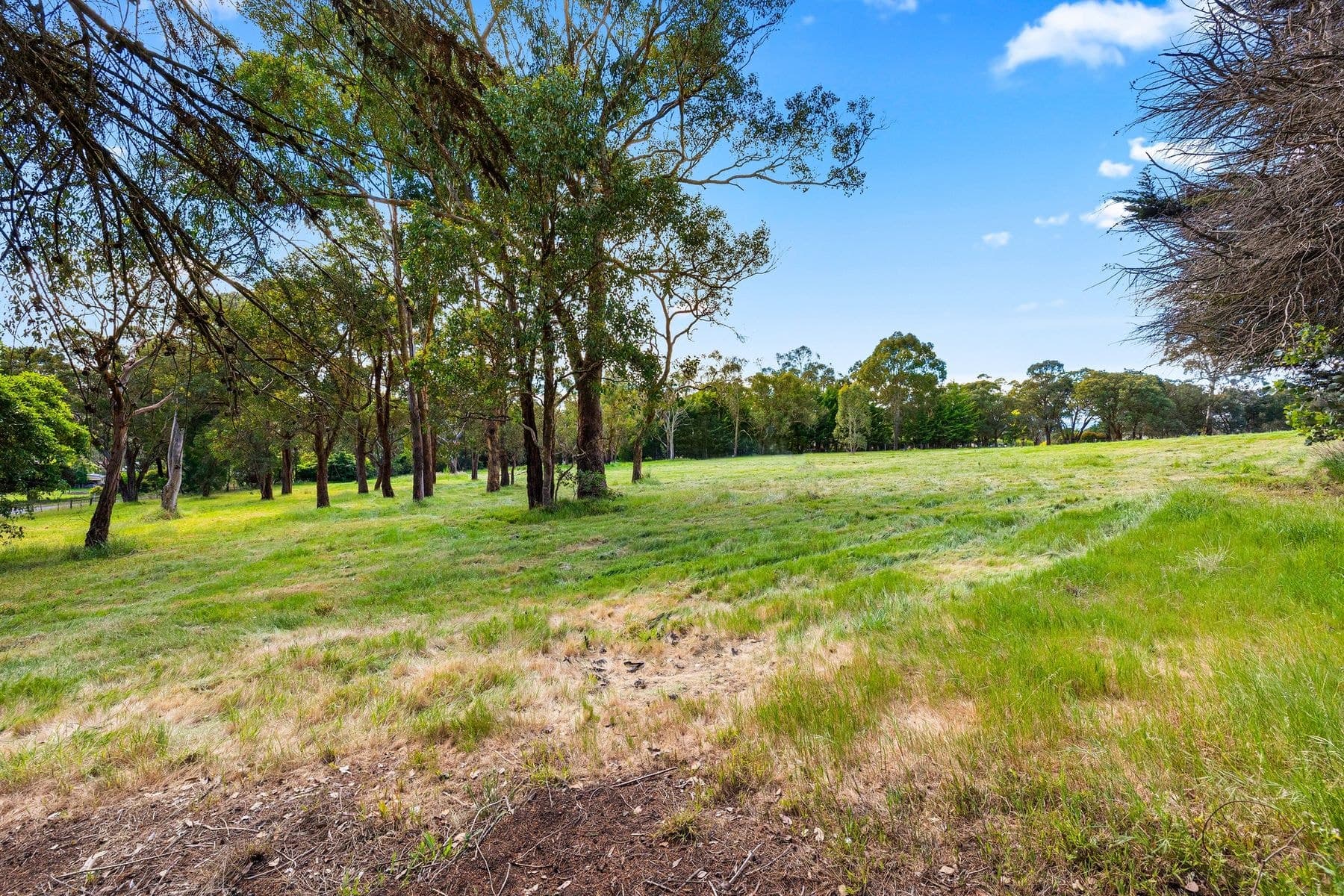 16 Homestead Road, Wonga Park VIC 3115, Wonga Park - Thumbnail 2