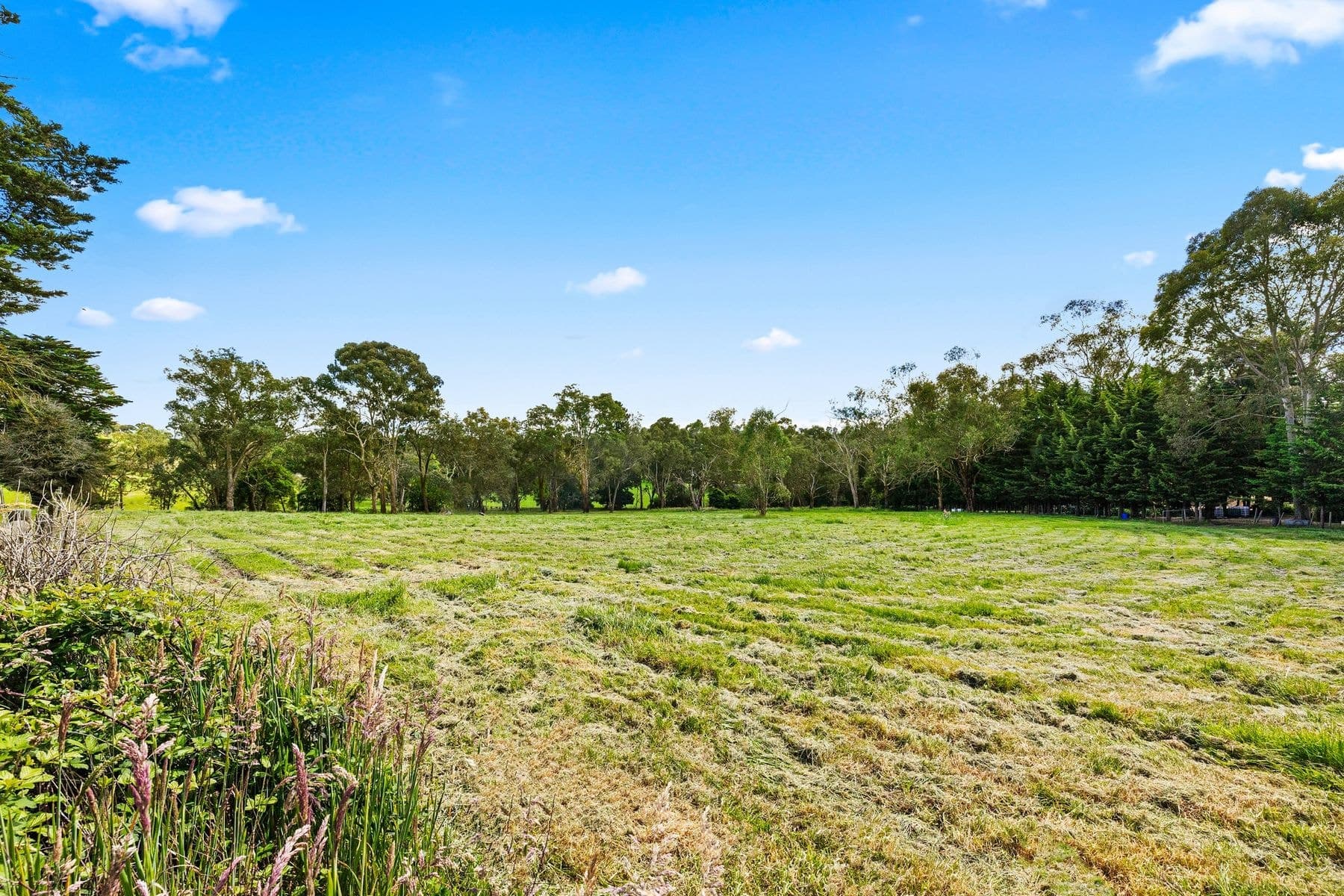16 Homestead Road, Wonga Park VIC 3115, Wonga Park - Thumbnail 3