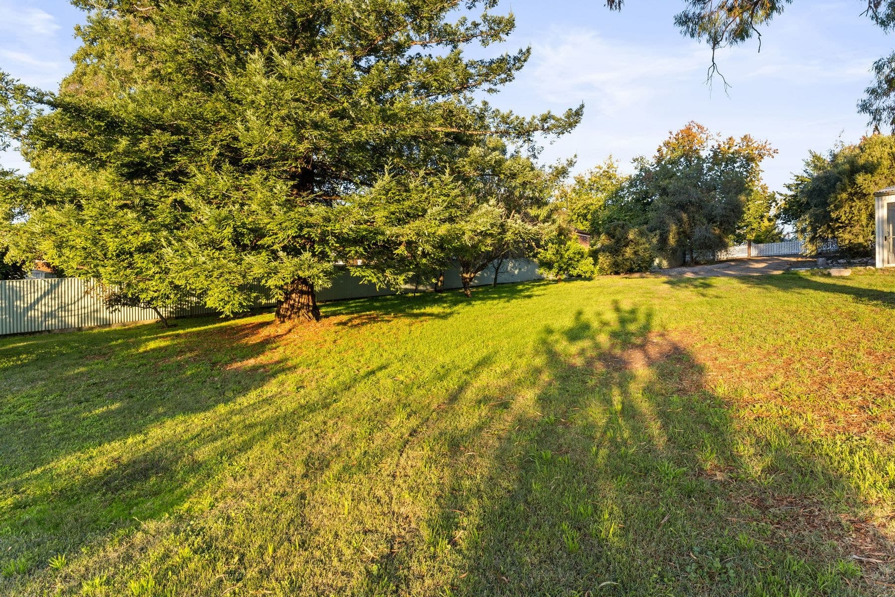 13 Ford Street, Beechworth VIC 3747, Beechworth - Thumbnail 5