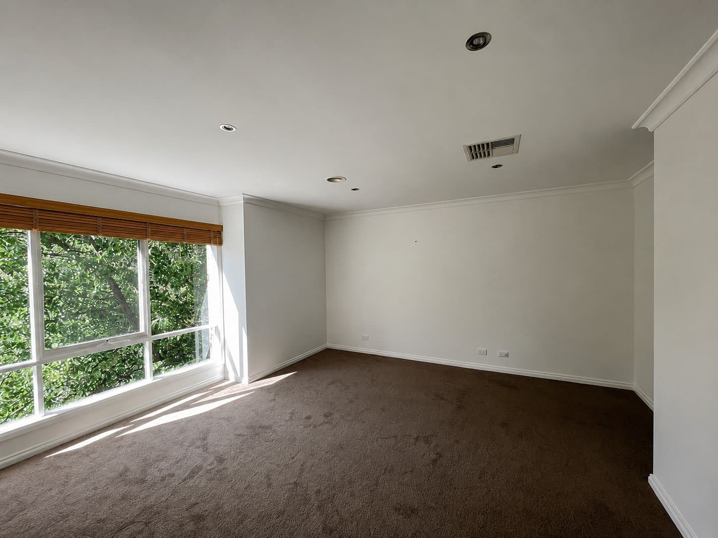 40 Wright Street, Bentleigh, Bentleigh - Thumbnail 6