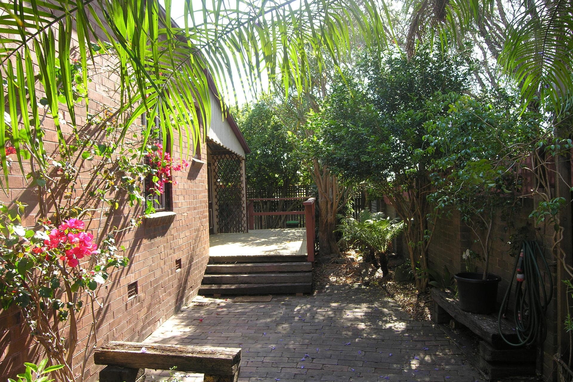 254 Elswick Street Leichhardt NSW 2040, Leichhardt - Image 1