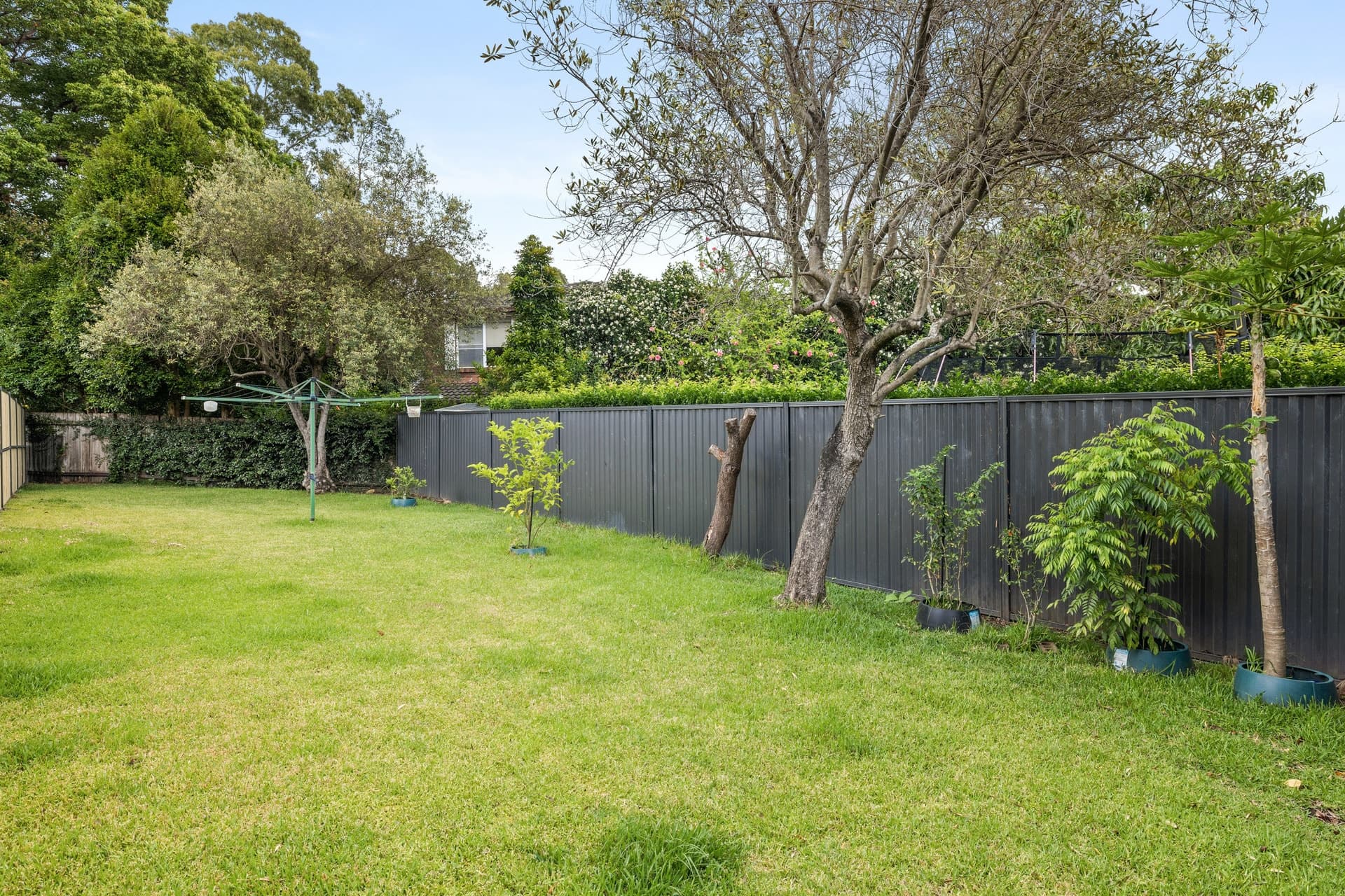 28A Nullawarra Avenue, Concord West - Thumbnail 7