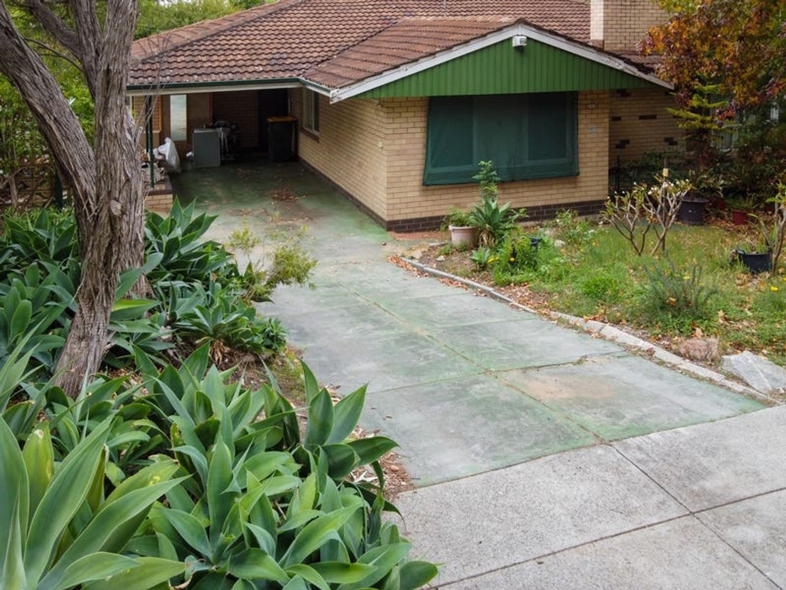 12 Lefroy Street, Woodlands WA 6018, Woodlands - Thumbnail 4
