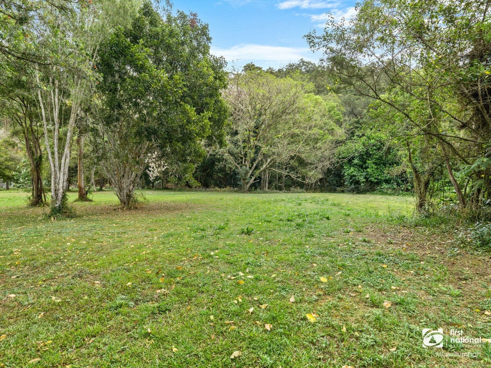 15 Bindaree Place, Chillingham NSW 2484, Chillingham - Thumbnail 3