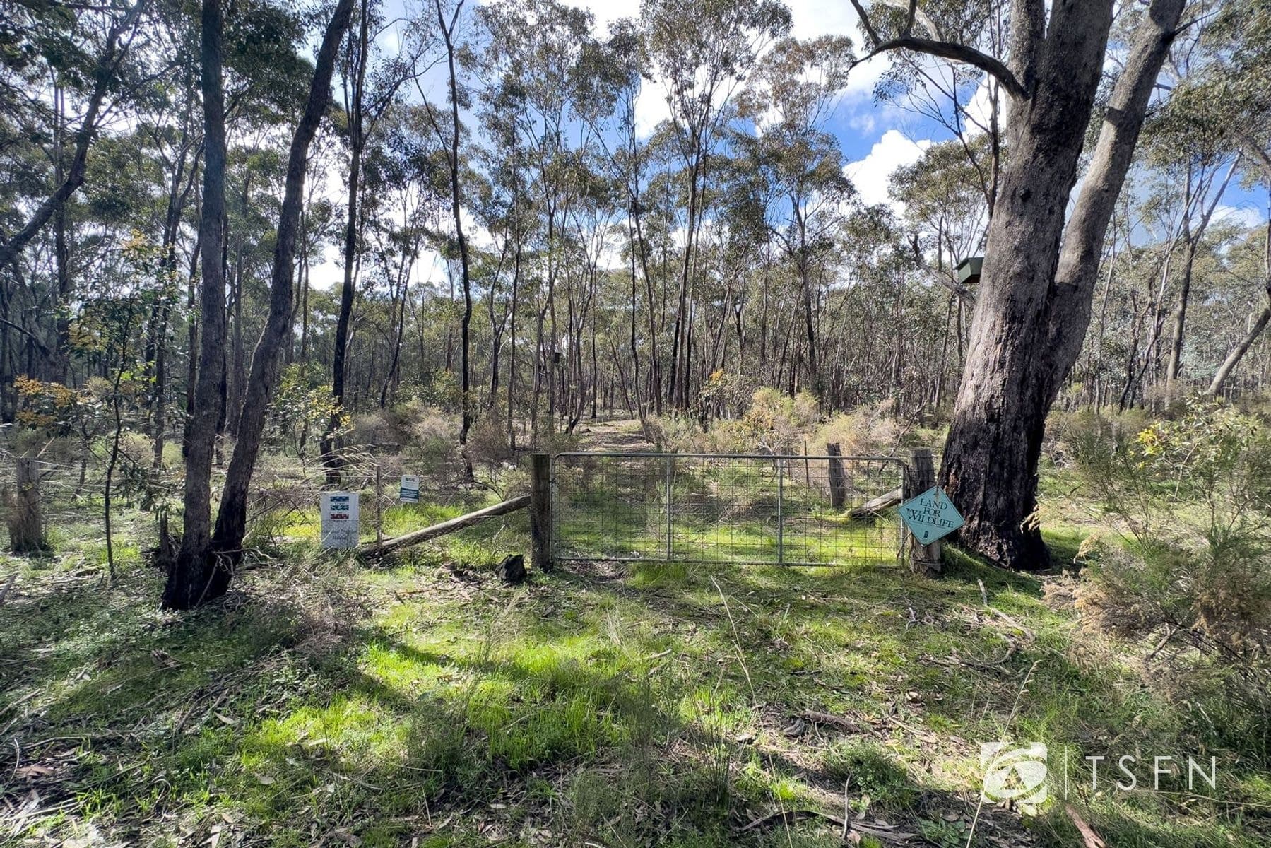 Lot 1 Curtis Road, Axe Creek VIC 3551, Axe Creek - Thumbnail 4