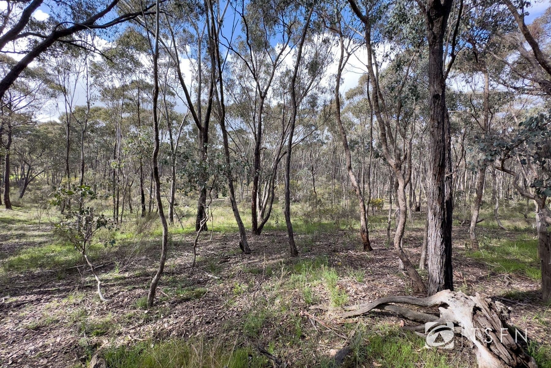 Lot 1 Curtis Road, Axe Creek VIC 3551, Axe Creek - Thumbnail 5