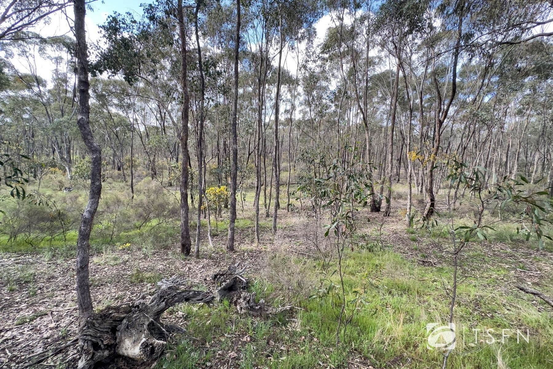 Lot 1 Curtis Road, Axe Creek VIC 3551, Axe Creek - Thumbnail 6