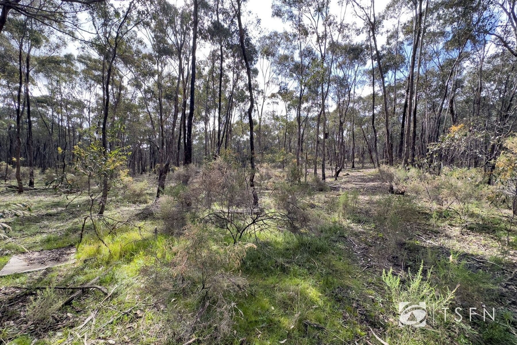 Lot 1 Curtis Road, Axe Creek VIC 3551, Axe Creek - Thumbnail 7