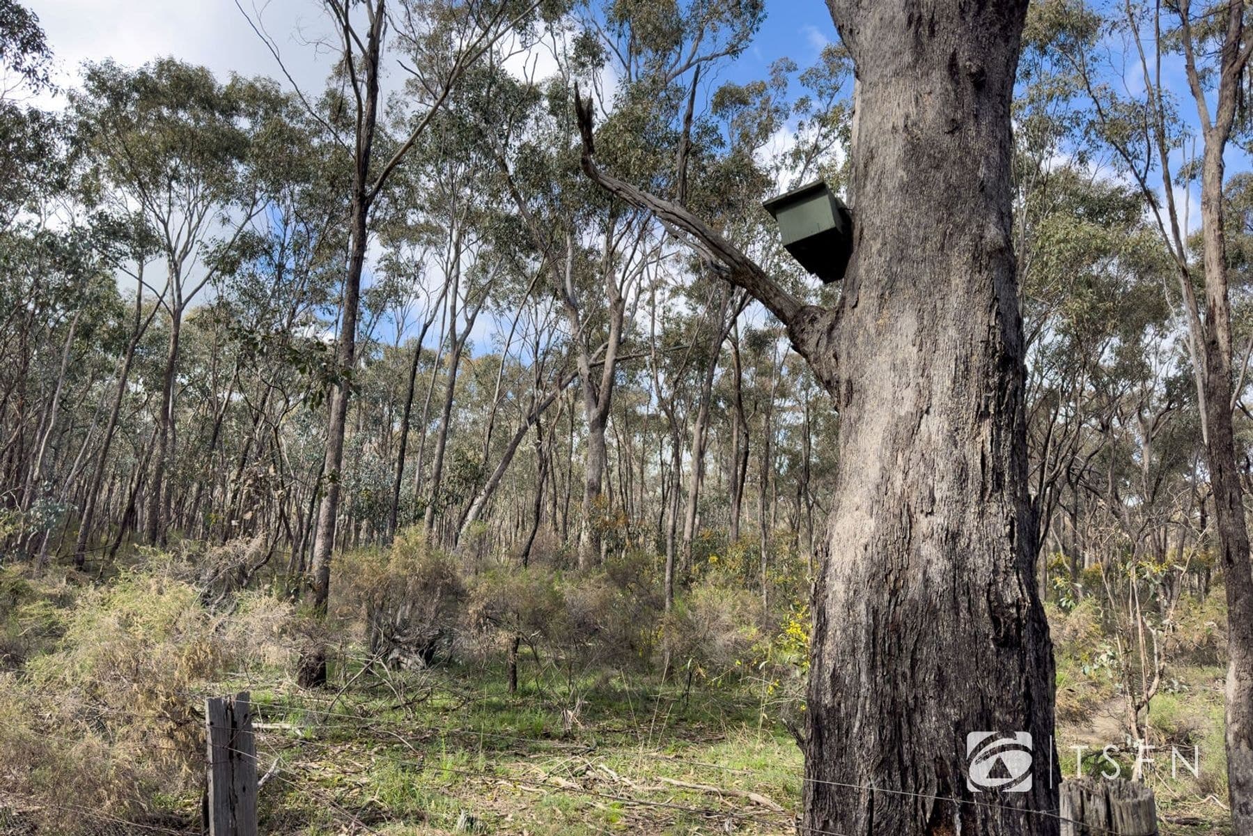 Lot 1 Curtis Road, Axe Creek VIC 3551, Axe Creek - Thumbnail 8
