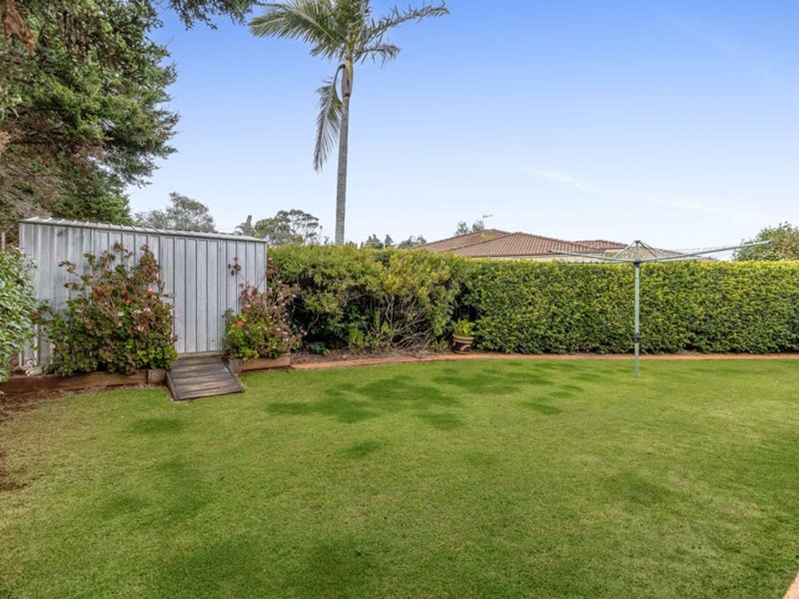 1 Lobwein Court, Middle Ridge QLD 4350, Middle Ridge - Thumbnail 6
