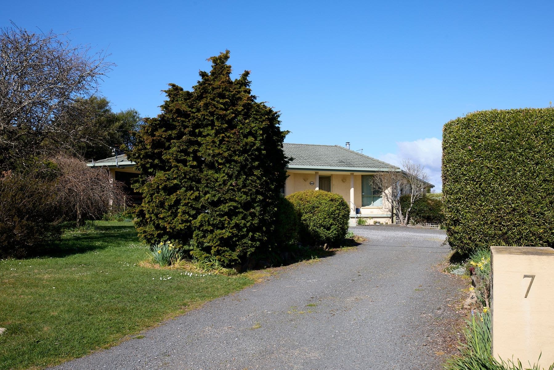 7 Gleadow Street, Deloraine TAS 7304, Deloraine - Thumbnail 3