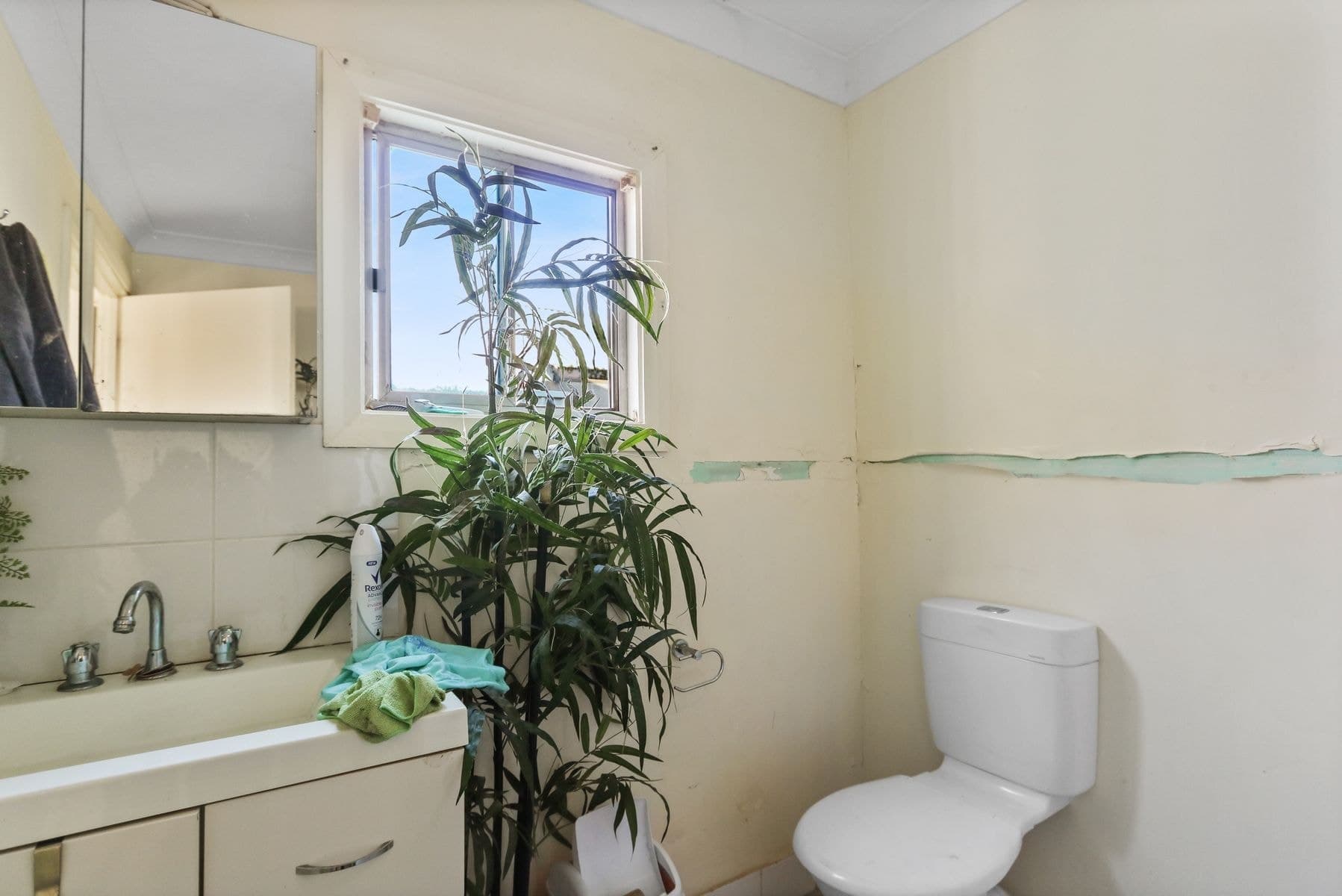 90 Hebbard Street, Broken Hill NSW 2880, Broken Hill - Thumbnail 6