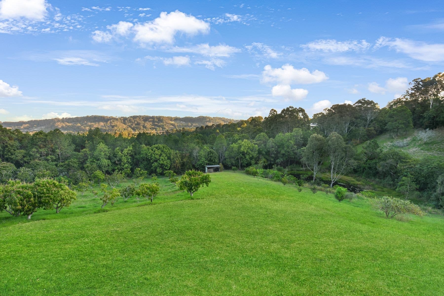 20-40 Francis Road, Bli Bli QLD 4560, Bli Bli - Image 1