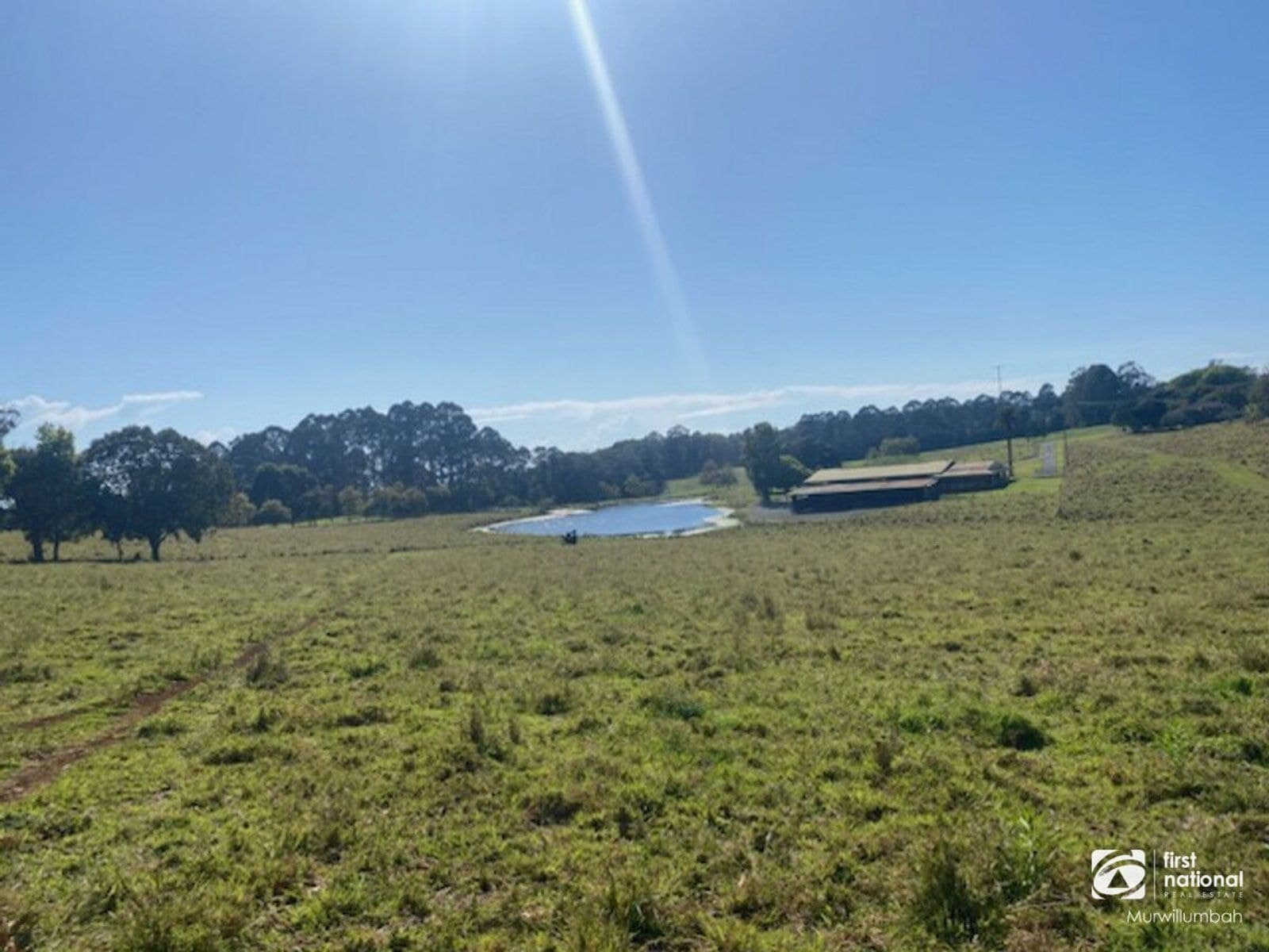 840 Terranora Road, Bungalora NSW 2486, Bungalora - Thumbnail 5