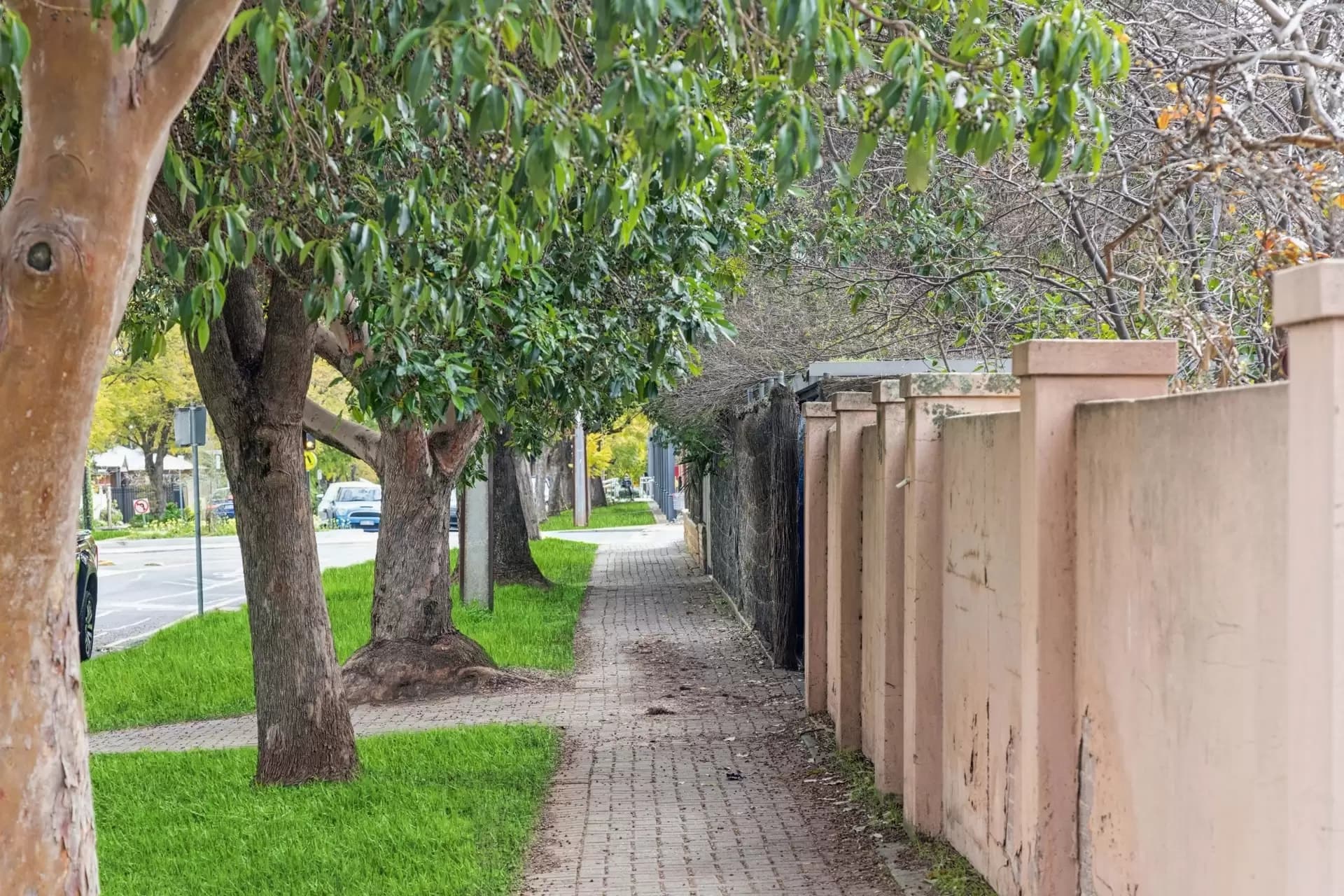 38 Sydney Street, Glenside, Glenside - Thumbnail 3