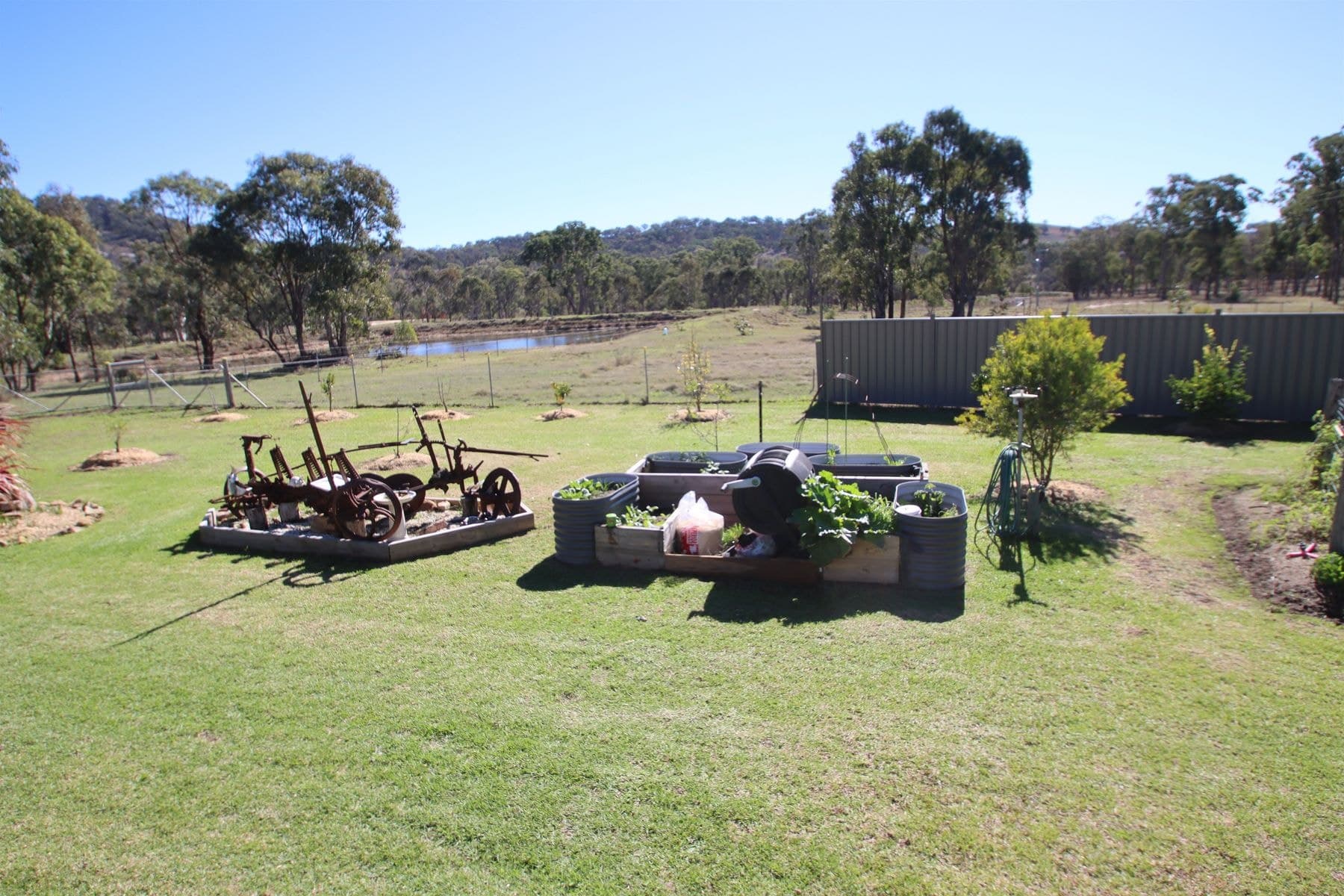 300 Mount Mackenzie Road, Tenterfield NSW 2372, Tenterfield - Thumbnail 4