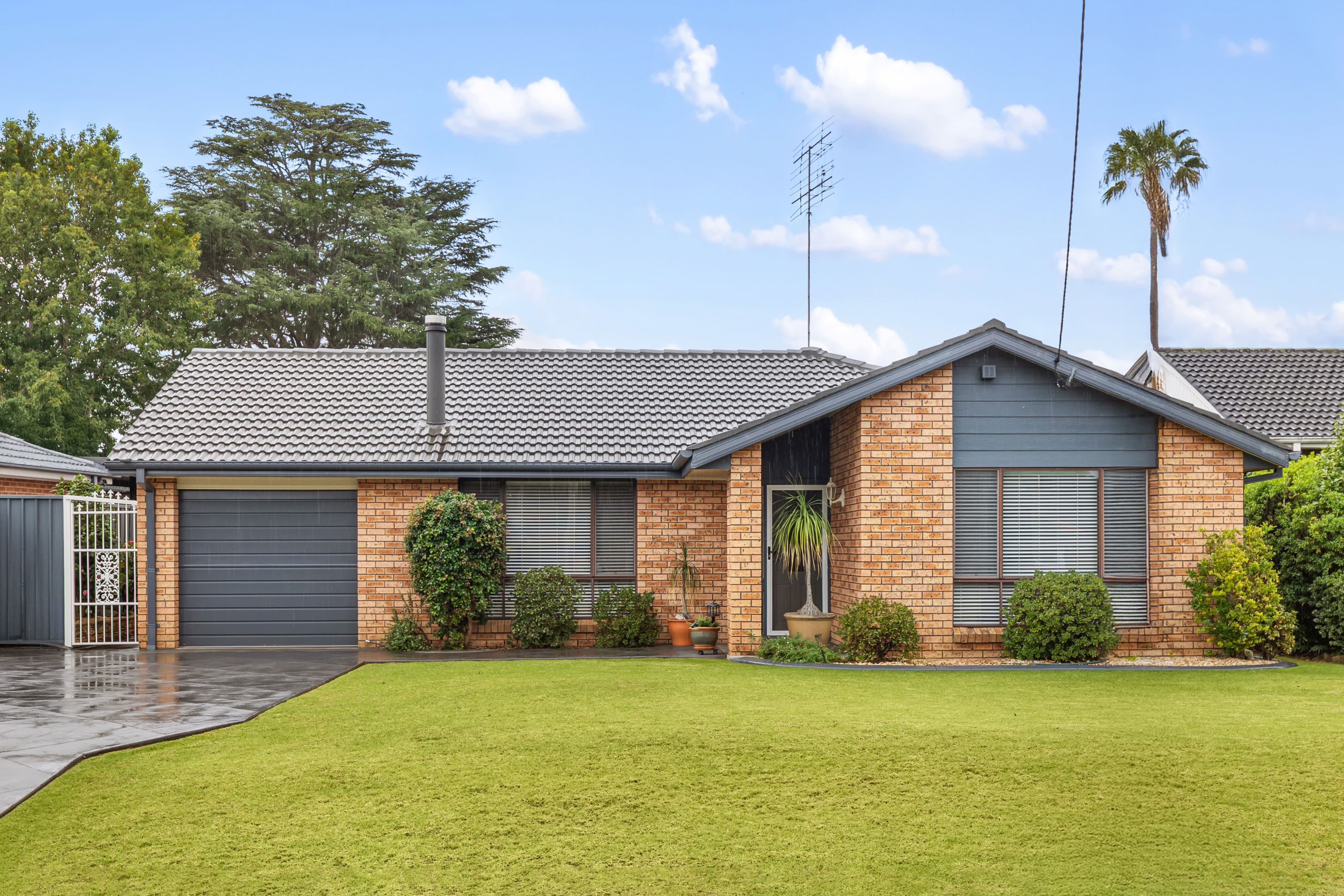 31 Forbes Street, EMU PLAINS, Emu Plains - Image 1