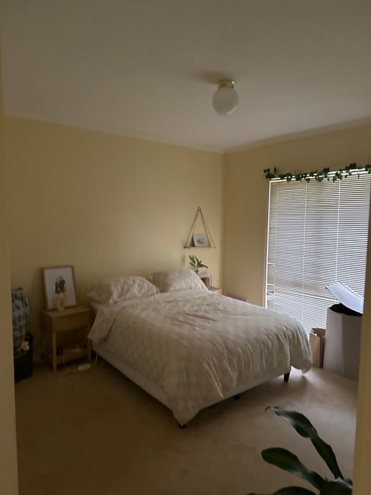 174 Eighth Street, Mildura VIC 3500, Mildura - Thumbnail 6