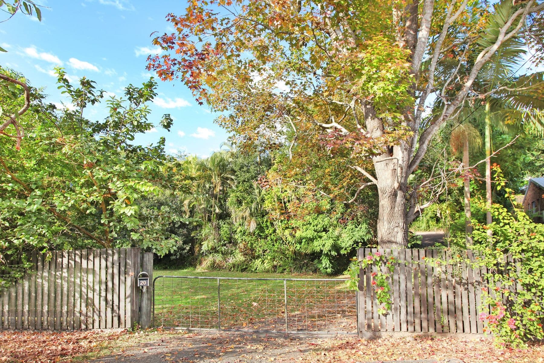 20 Sapphire Drive, Nambour QLD 4560, Nambour - Thumbnail 7