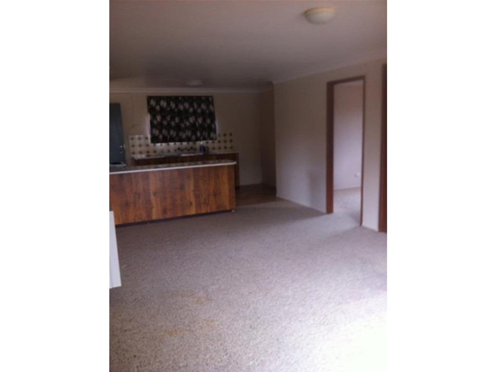 2/1 Ash Tree Drive, Armidale NSW 2350, Armidale - Thumbnail 3
