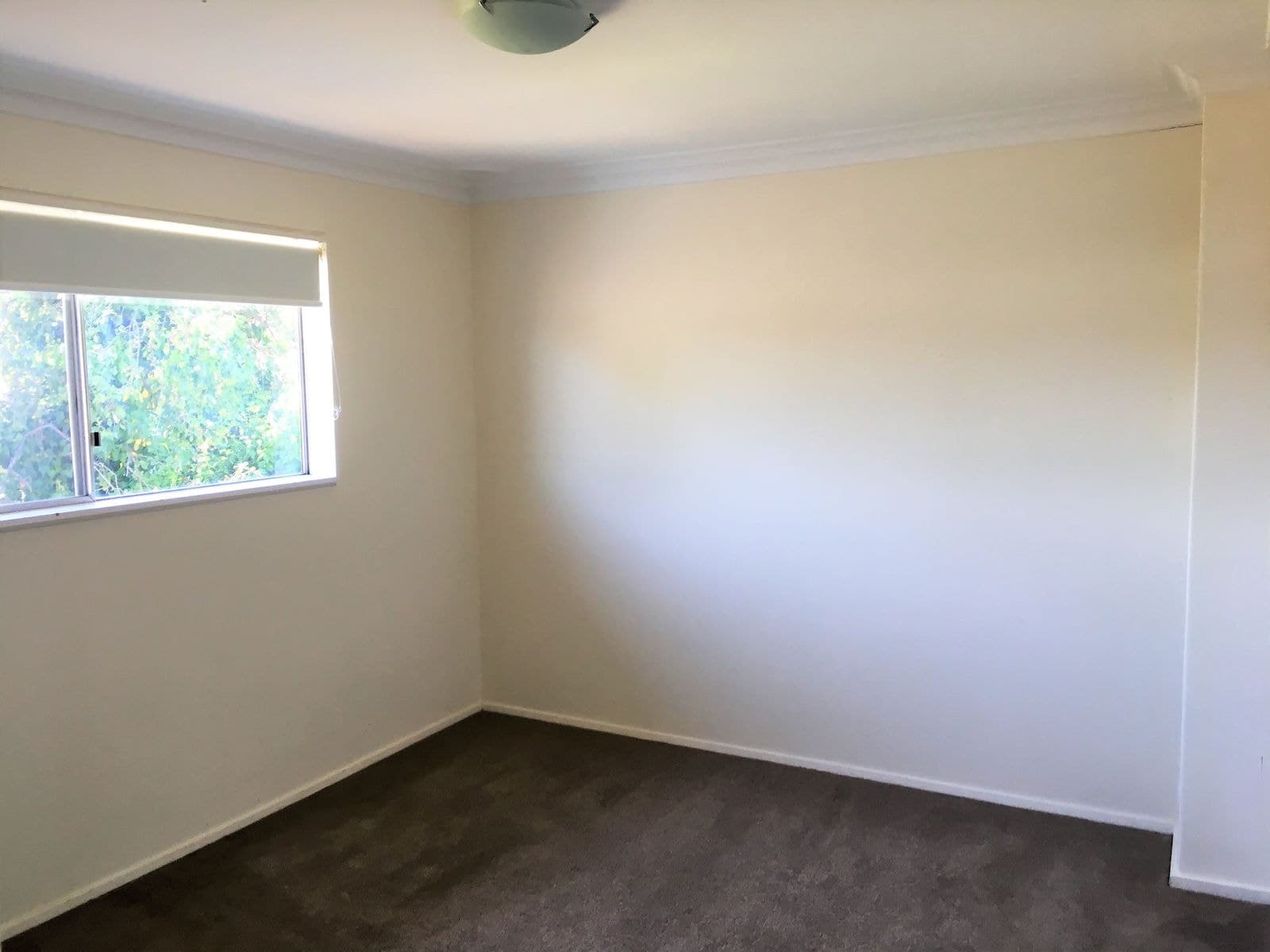 1/5 Speare Avenue, Armidale NSW 2350, Armidale - Thumbnail 5