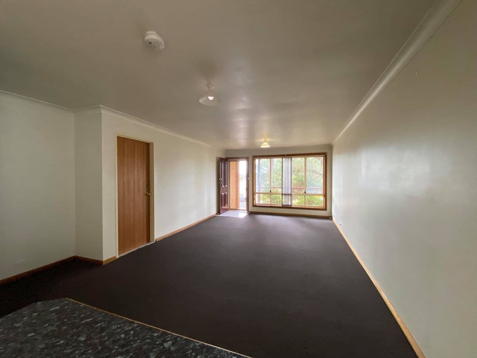58A Devitre Street, Lambton NSW 2299, Lambton - Thumbnail 3