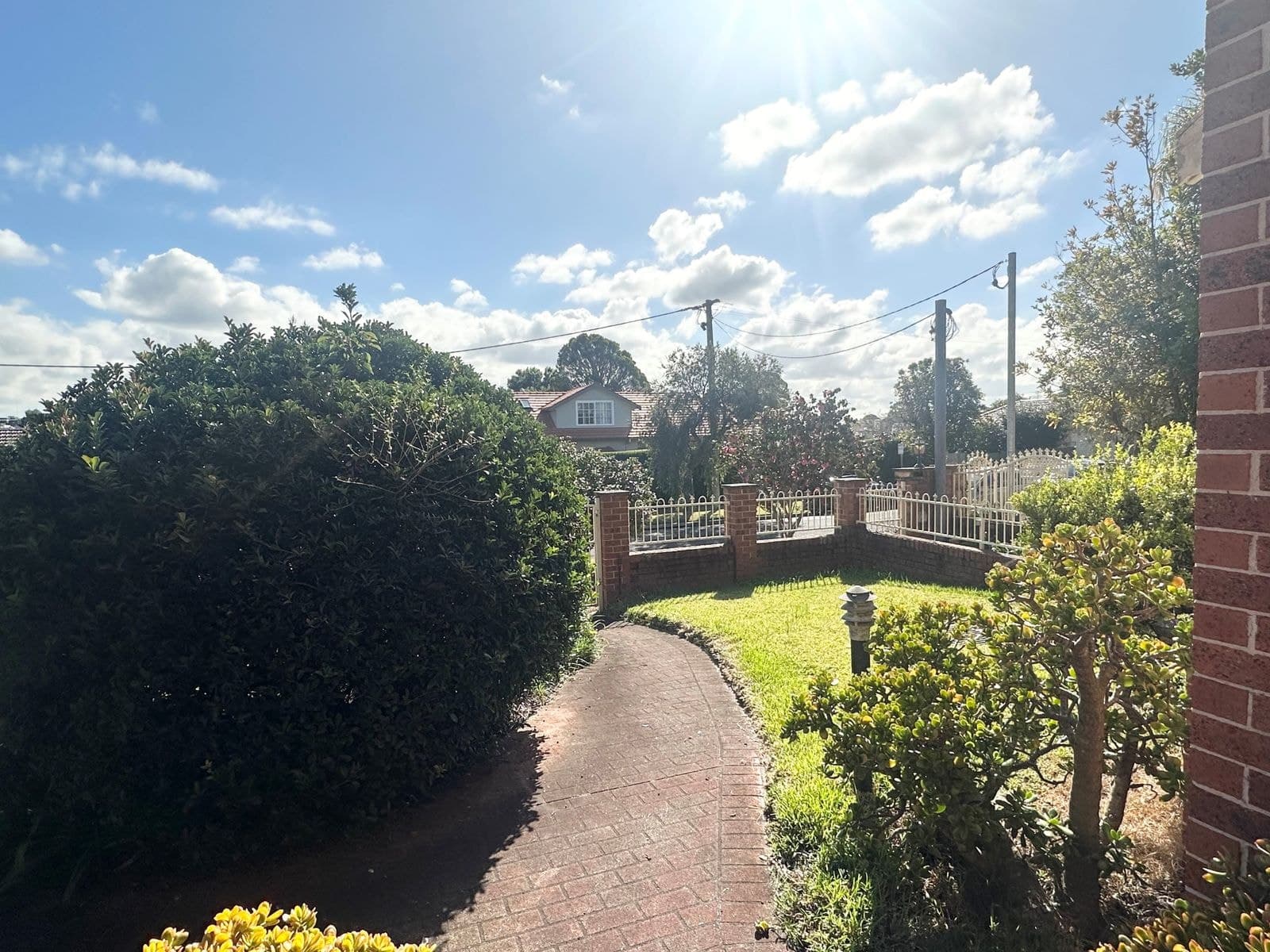 6 Waratah Street, Roseville NSW 2069, Roseville - Thumbnail 6