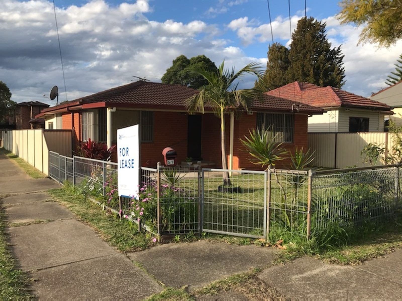 51 Wilfred Street, Lidcombe NSW 2141, Lidcombe - Image 1