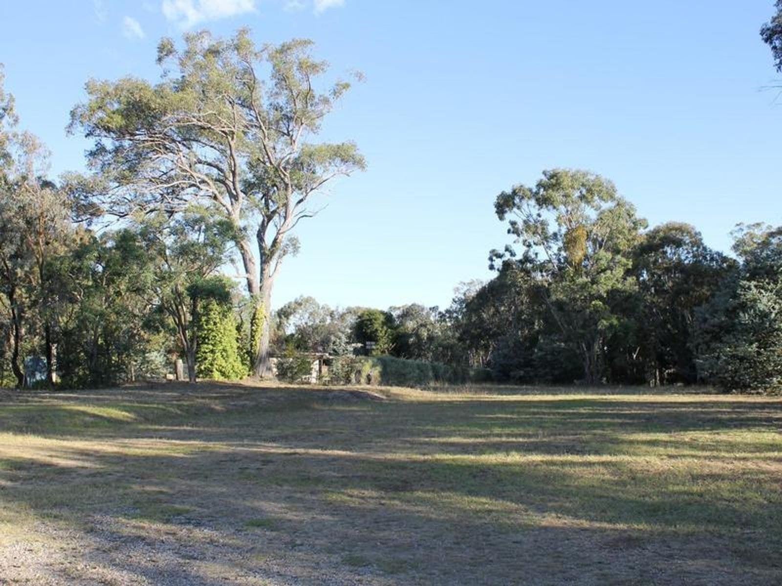 117 Rockvale Road, Armidale NSW 2350, Armidale - Thumbnail 7