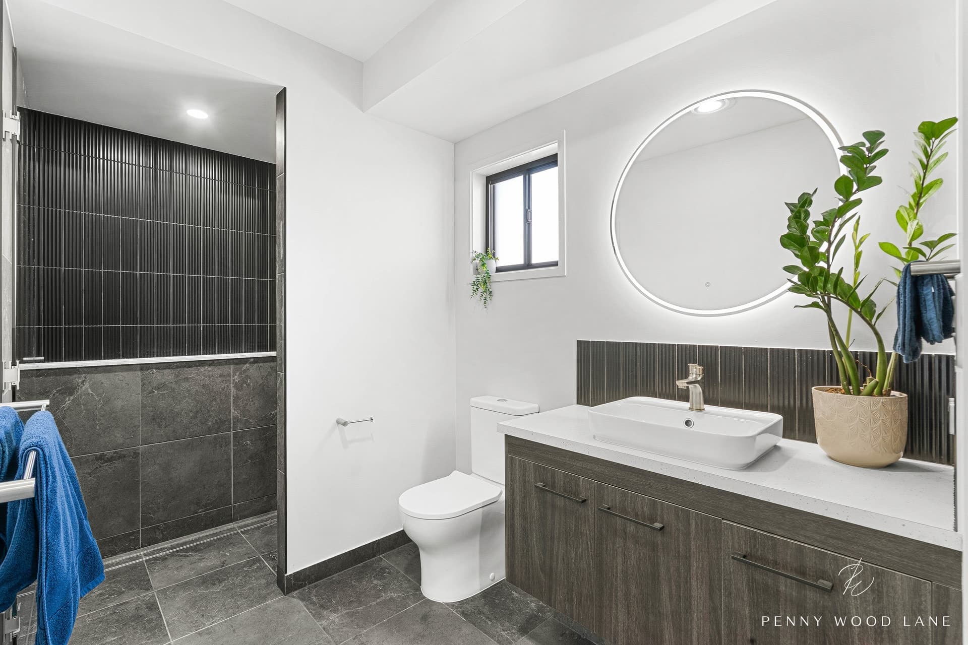 13 Mirage Court, Shoal Point - Thumbnail 6