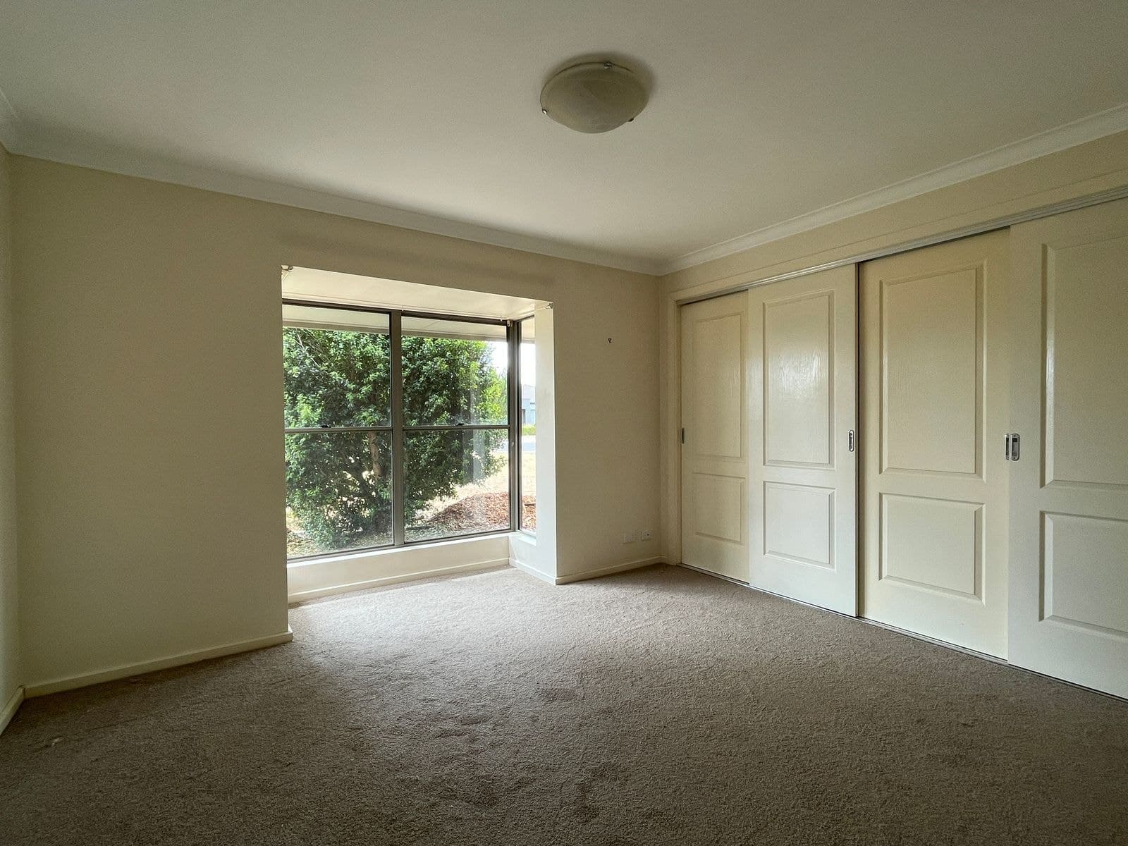 16 Albert Street, Carisbrook VIC 3464, Carisbrook - Thumbnail 5