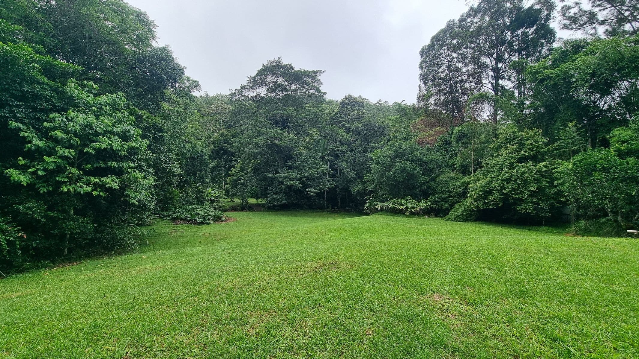 Carrington QLD 4883, Carrington - Thumbnail 4