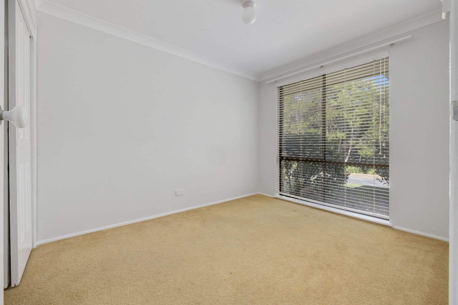 42 Yarranabee Road, Port Macquarie NSW 2444, Port Macquarie - Thumbnail 4