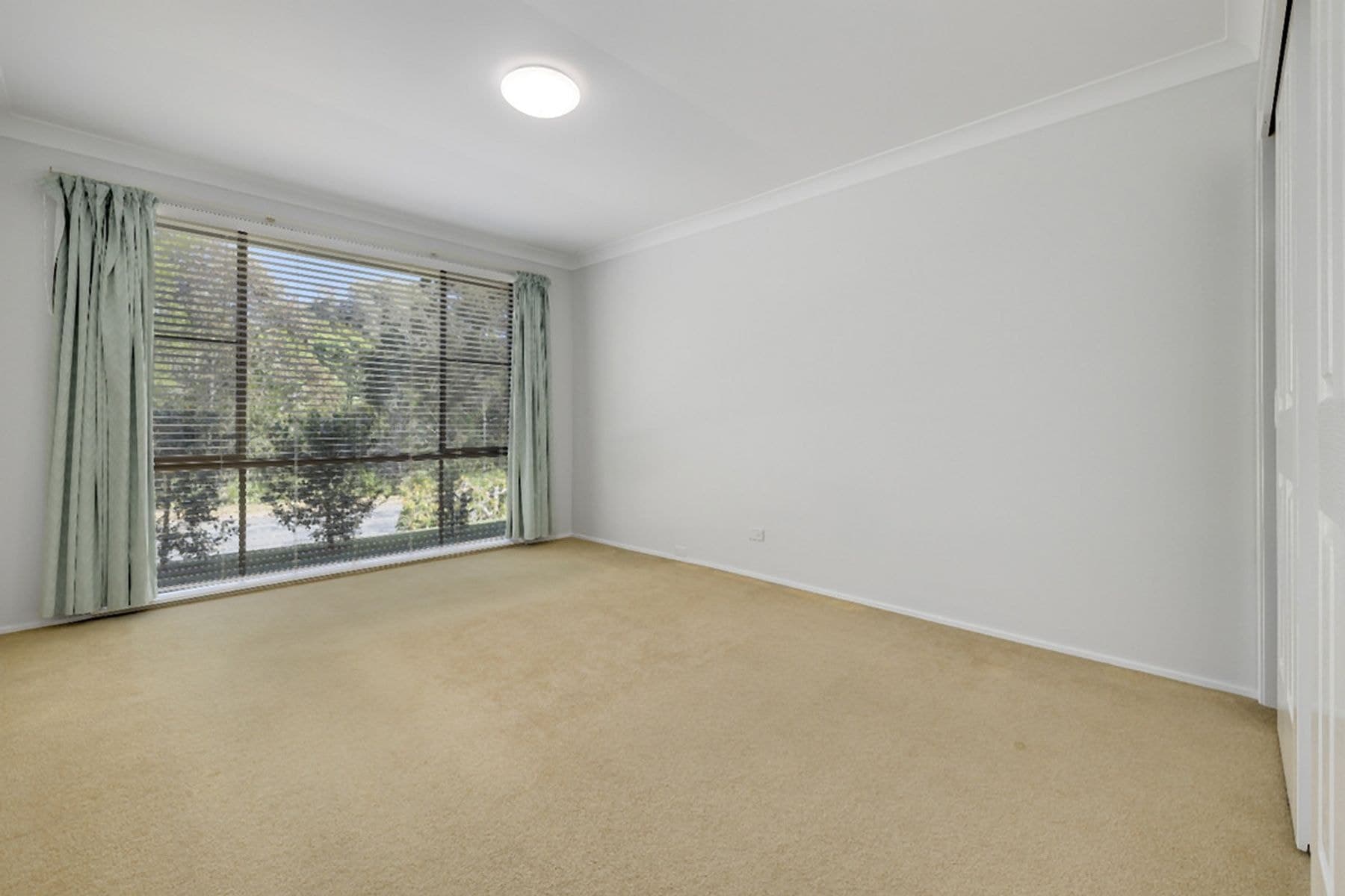 42 Yarranabee Road, Port Macquarie NSW 2444, Port Macquarie - Thumbnail 5